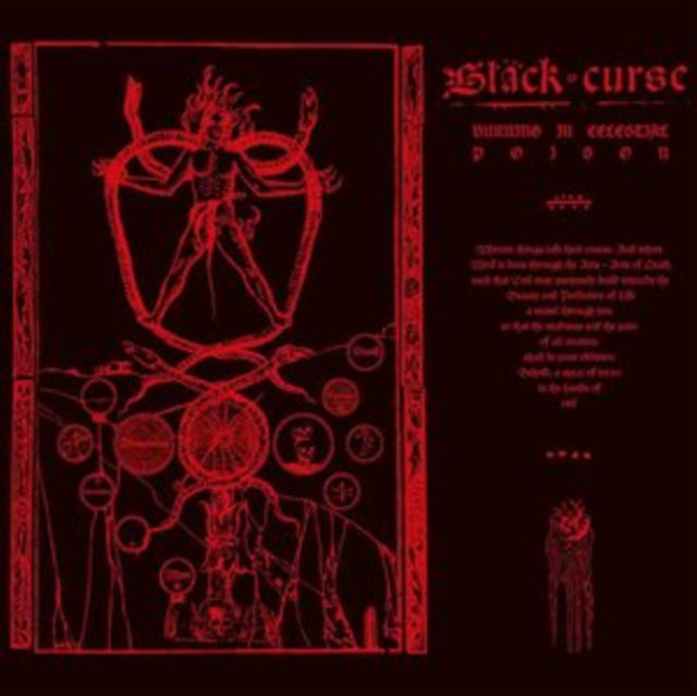 Black Curse - Burning In Celestial Poison (Vinyl) (US Import)