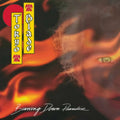 Tokyo Blade - Burning Down Paradise (CD) (US Import)
