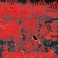 Concrete Winds - Concrete Winds (Vinyl) (US Import)