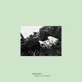 Steve Hiett - Girls In The Grass (Vinyl) (US Import)