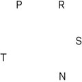 Various Artists - Prsnt (Vinyl) (US Import)