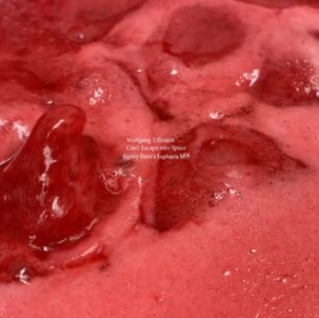 Wolfgang Tillmans - Can't Escape Into Space (Vinyl) (US Import)