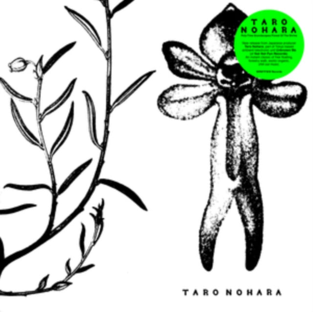Taro Nohara - Poly-Time Soundscapes / Forest Of The Shrine (Vinyl) (US Import)