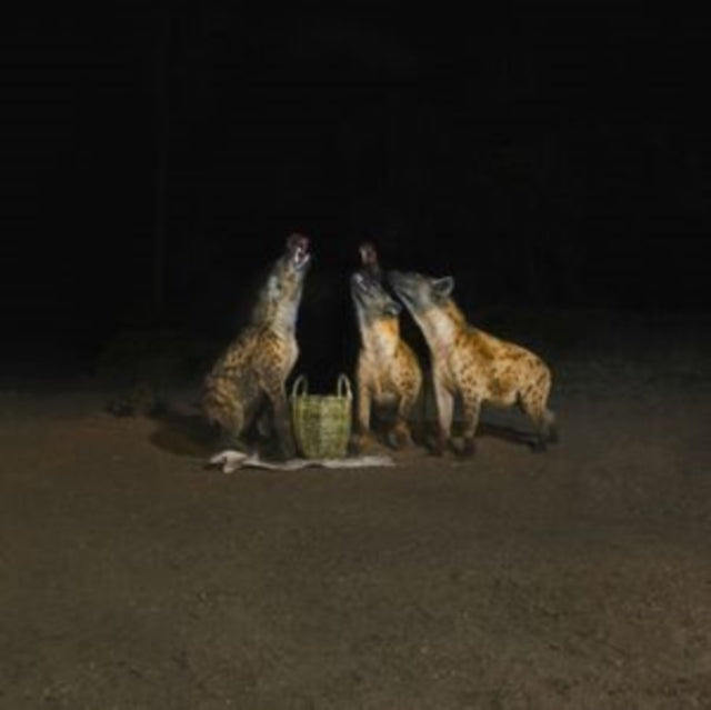 Years Of Denial - Suicide Disco (2LP) (Vinyl) (US Import)