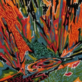 Akusmi - Terra Incognita (CD) (US Import)