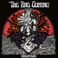 2nd Coming - Evaluations (Vinyl) (US Import)