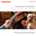 Bruch / Mozart / Tchaikovsky - Young Spirit Of Serenades (CD)
