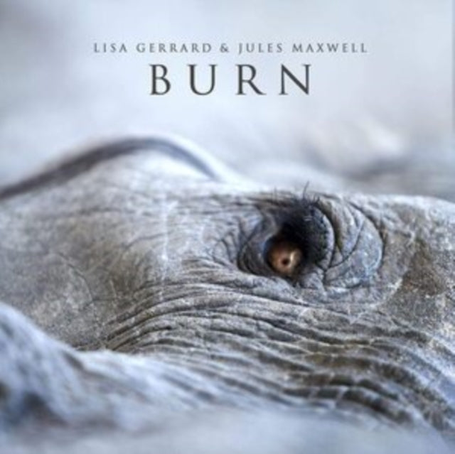 Lisa Gerrard - Burn (Vinyl) (US Import)