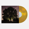 Ramsey,Tyler / Broemel,Carl - Celestun (Gold Vinyl) (I) (Vinyl) (US Import)