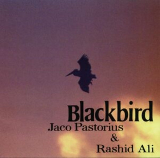 Jaco Pastorius - Black Birds (CD)