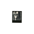 Ratel - Scan (Japanese Import/Insert/Limited) (Vinyl) (US Import)