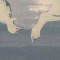 Ohzora Kimishima - Sode No Migiwa (Insert) (Vinyl) (US Import)
