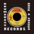 Pat & Roxie - Way Of Fortune (Vinyl Single) (US Import)