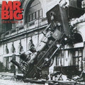 Mr Big - Lean Into It (30th Anniversary Edition) (Vinyl) (US Import)