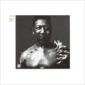 Muddy Waters - After The Rain (CD)