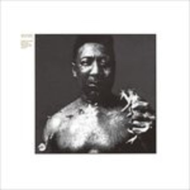 Muddy Waters - After The Rain (CD)