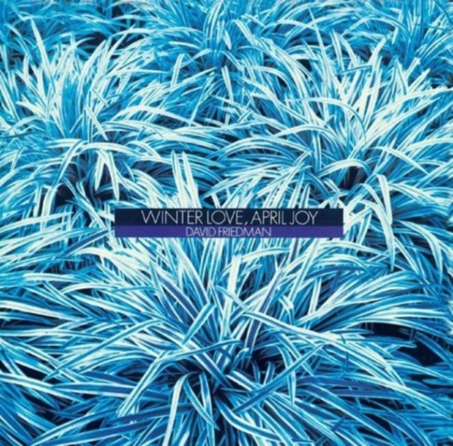David Friedman - Winter Love April Joy (CD)