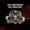 Chain'Sole - 30th Anniversary Self Cover Best: So Power 2024 (CD)