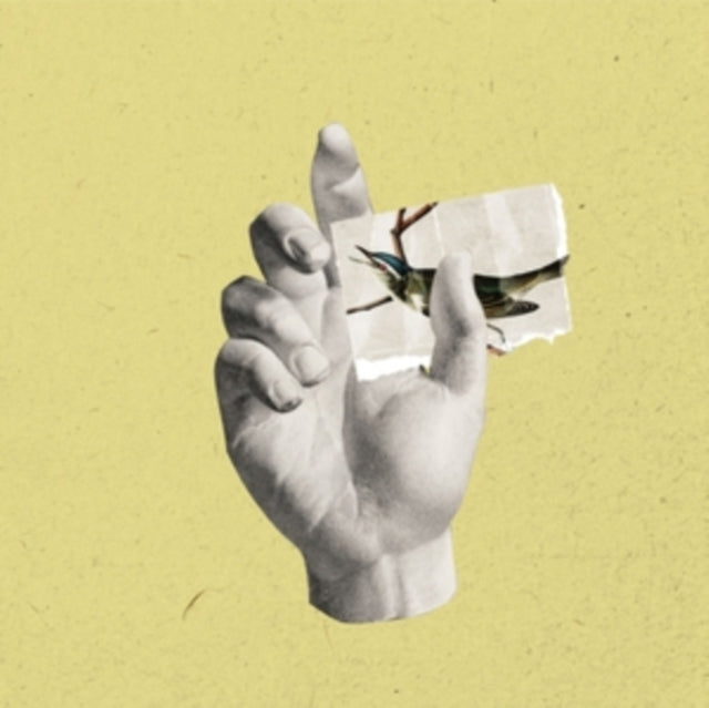 Catalina - Walls, Fragments (CD)