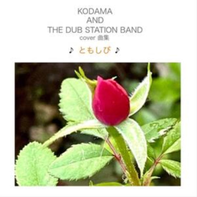 Kodama & The Dub Station Band - Tomoshibi (Vinyl) (US Import)