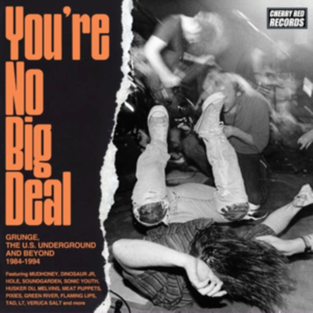 Various Artists - You're No Big Deal - Grunge, The U.S. Underground & Beyond 1984-1994 (4CD) (CD)