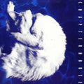 Chapterhouse - Whirlpool (CD)