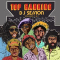 Various Artists - Top Ranking DJ Session Volumes 1 & 2 (2CD) (CD)