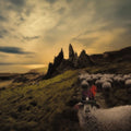Franck Carducci - Sheeple (Vinyl) (US Import)