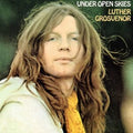 Luther Grosvenor - Under Open Skies (Reissue) (CD)