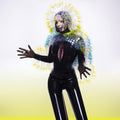 Bjork - Vulnicura (CD) (US Import)