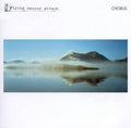 Flying Saucer Attack - Chorus (Vinyl) (US Import)