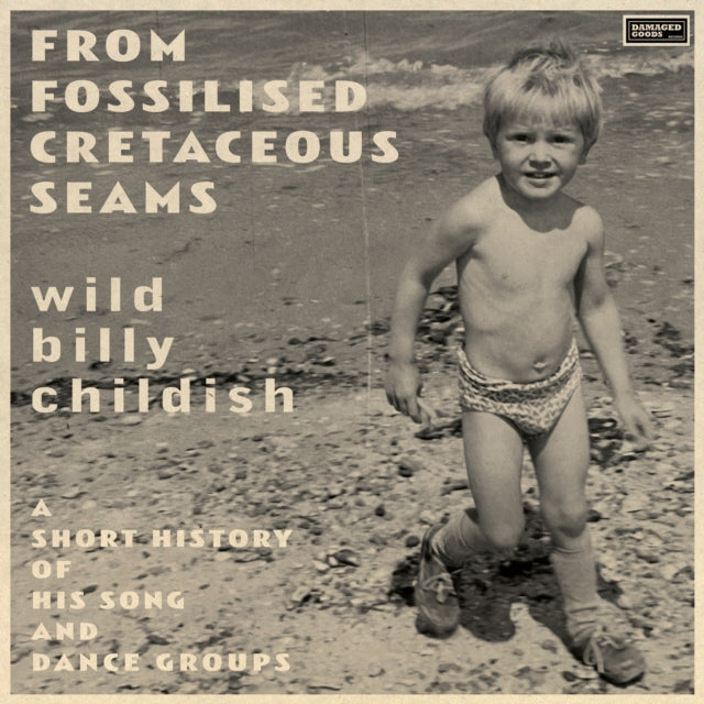Billy Childish - From Fossilised Cretaceous Seams: A Short History Of His Song & Dance Groups (2LP) (Vinyl) (US Import)