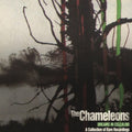 Chameleons - Dreams In Celluloid (2CD) (CD)