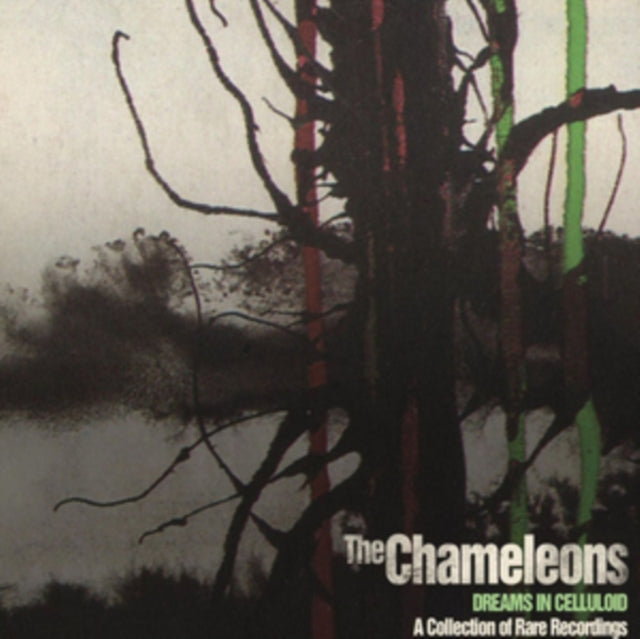 Chameleons - Dreams In Celluloid (2CD) (CD)