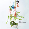 Sevenfo - Music For Himitsu (Vinyl) (US Import)