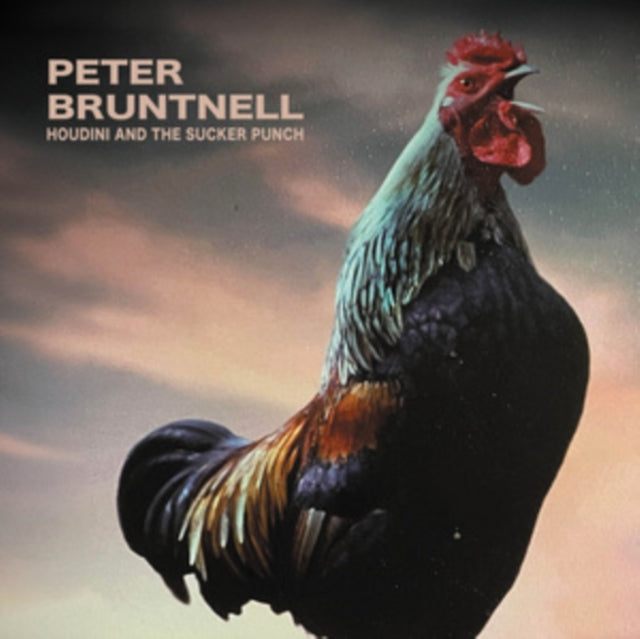 Peter Bruntnell - Houdini & The Sucker Punch (CD)