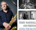 Marshall,Terry & Friends - Living The Blues (2LP) (Vinyl) (US Import)