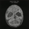 Bonnie Prince Billy - I See A Darkness (Vinyl) (US Import)