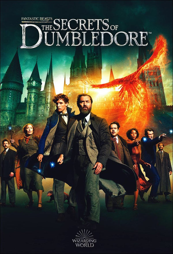 Fantastic Beasts: Secrets Of Dumbledore (DVD) (Region 1 US Import)