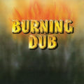 Revolutionaries - Burning Dub (Vinyl) (US Import)
