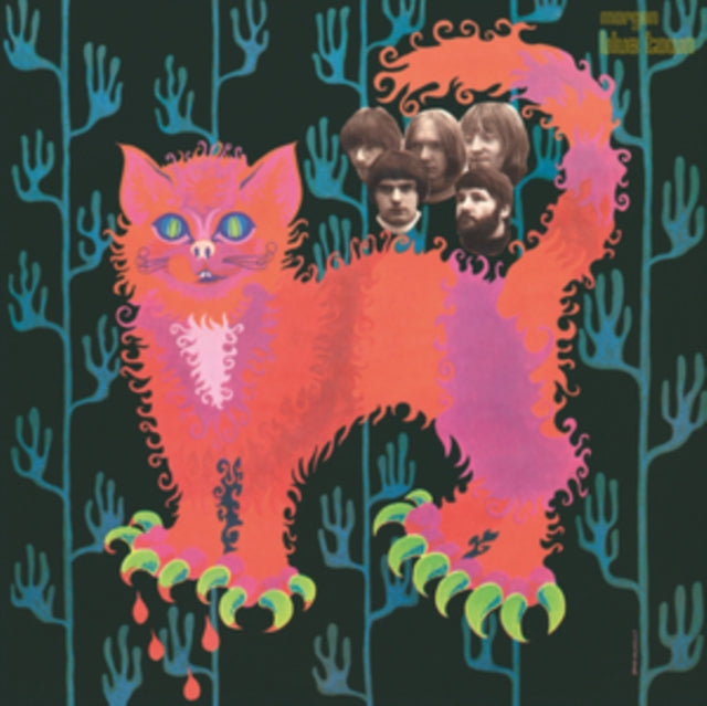 Pussy - Pussy Plays (Pink Vinyl) (Vinyl) (US Import)