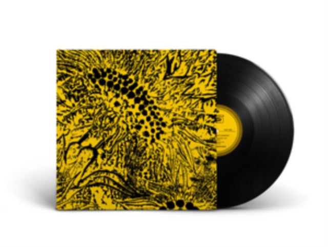 Amanda Whiting - Little Sunflower (Vinyl Single) (US Import)