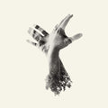 Last Dinosaur - Nothing (CD)