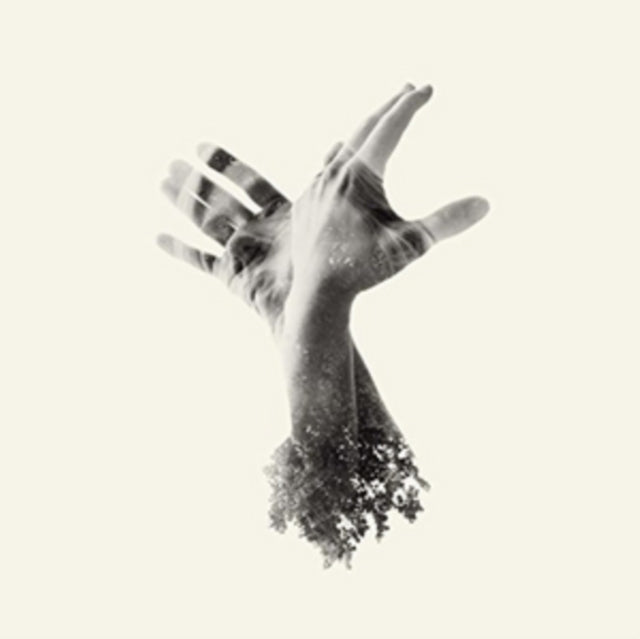 Last Dinosaur - Nothing (CD)