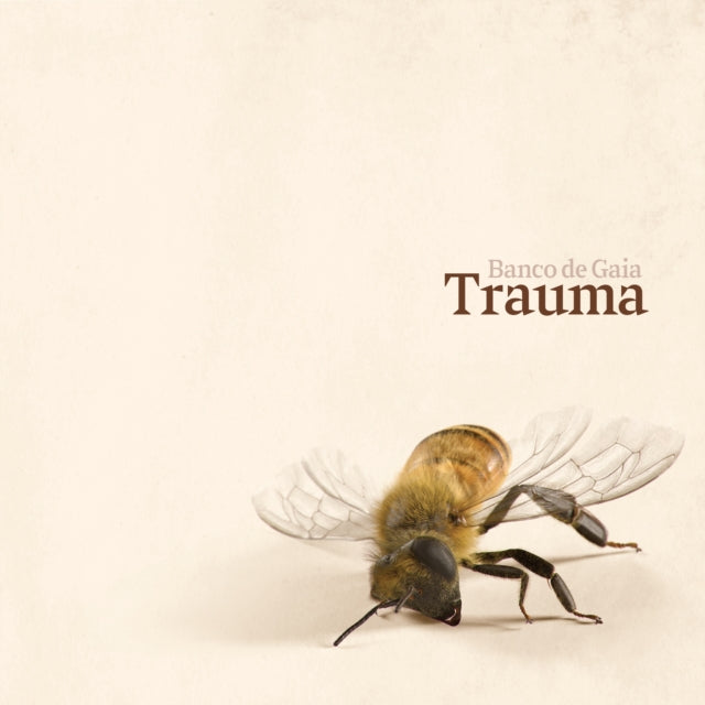 Banco De Gaia - Trauma (Vinyl) (US Import)