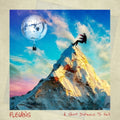 Flevans - Short Distance To Fall (Vinyl) (US Import)