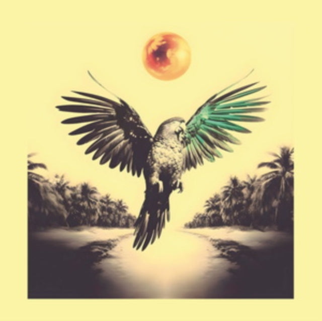 Sam Nobrega - Ponta De Dois Lados (Vinyl) (US Import)
