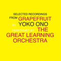 Ono,Yoko & The Great Learning Orchestra - Selected Recordings From Grapefruit (2LP) (Vinyl) (US Import)