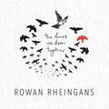 Rowan Rheingans - Lines We Draw Together (CD)