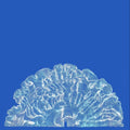 Leafcutter John - Yes! Come Parade With Us (CD)